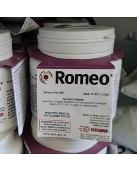 ROMEO