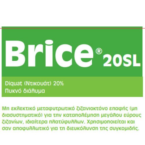 BRICE