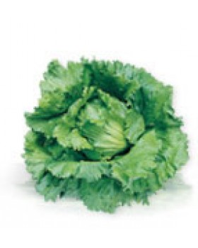 ΜΑΡΟΥΛΙ ROMAIN ANTARES 10000pellets