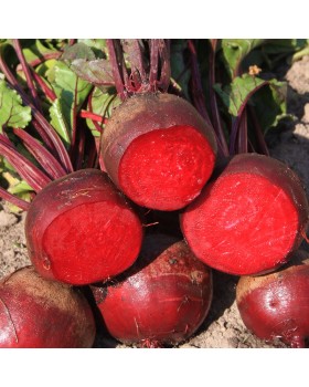 ΠΑΝΤΖΑΡΙ DETROIT