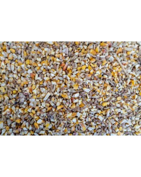 ΜΙΓΜΑ ΔΗΜΗΤΡΙΑΚΩΝ 