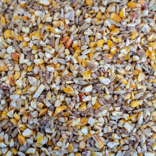 ΜΙΓΜΑ ΔΗΜΗΤΡΙΑΚΩΝ 