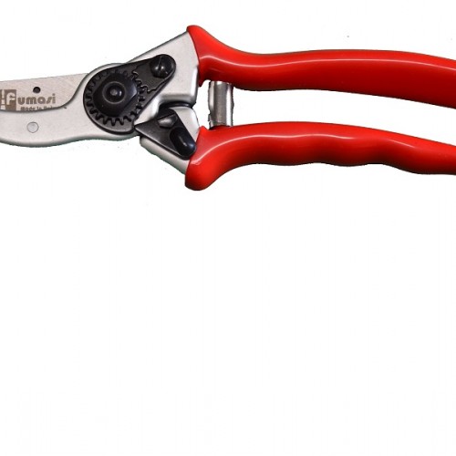 ΨΑΛΙΔΑ FREUND 2002