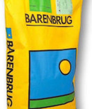 ΜΕΙΓΜΑ ΓΚΑΖΟΝ-GOLDPACK BARENBRUG