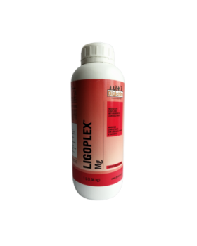 LIGOPLEX MG