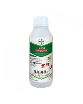 LUNA-SENSATION