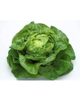 ΜΑΡΟΥΛΙ ROMAIN MORALES 5000pellets