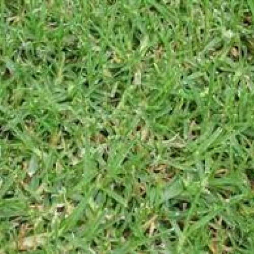 ΓΚΑΖΟΝ ΟΥΓΚΑΝΤΑ 