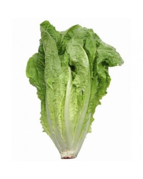 ΜΑΡΟΥΛΙ PARIS ISLAND COS  