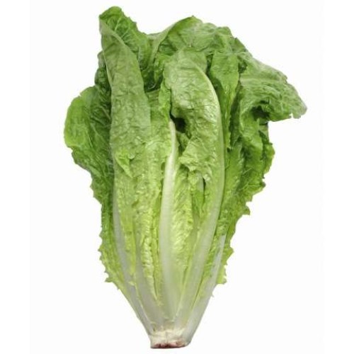 ΜΑΡΟΥΛΙ PARIS ISLAND COS  