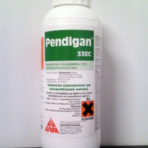 PENDIGAN