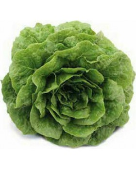 ΜΑΡΟΥΛΙ RUBOISE 1000σπορ.