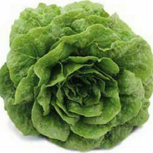 ΜΑΡΟΥΛΙ RUBOISE 1000σπορ.