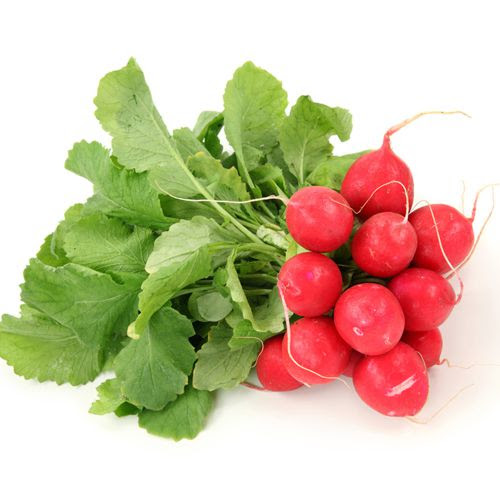 ΡΑΠΑΝΑΚΙ SAX2 