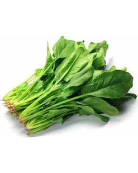 ΣΠΑΝΑΚΙ AGRI34F1-100.000σπορ. 