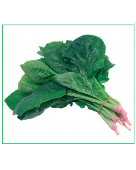 ΣΠΑΝΑΚΙ SPICA 100.000σπορ.