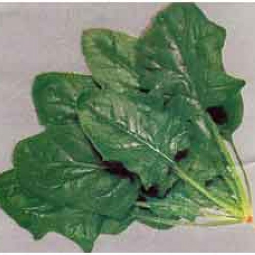 ΣΠΑΝΑΚΙ VIROFLY