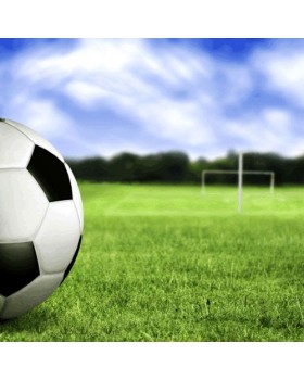 ΣΠΟΡΟΣ ΓΚΑΖΟΝ WEMBLEY