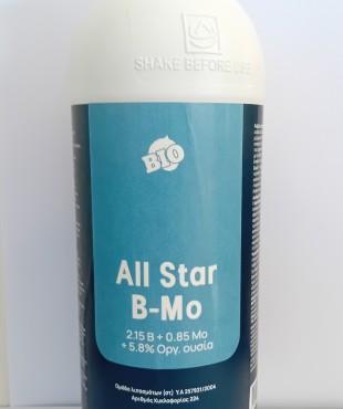 ALL STAR B-Mo