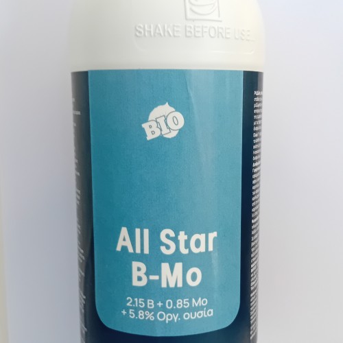 ALL STAR B-Mo
