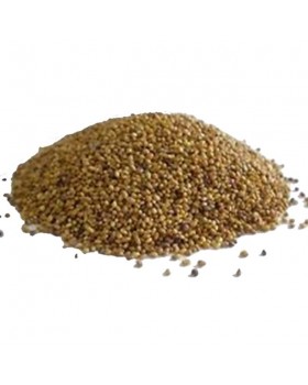 Σπόρος Διχόνδρα (Τριφύλλι)