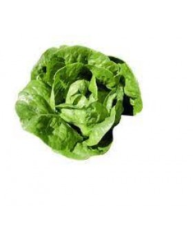 ΜΑΡΟΥΛΙ LINOY HAZERA 5000σπορ.