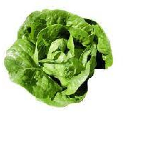 ΜΑΡΟΥΛΙ LINOY HAZERA 5000σπορ.