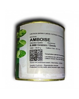 ΜΑΡΟΥΛΙ ΚΟΚΚΙΝ.ΜΑΚΕΔΟΝ.AMBOISE 5000σπορ.