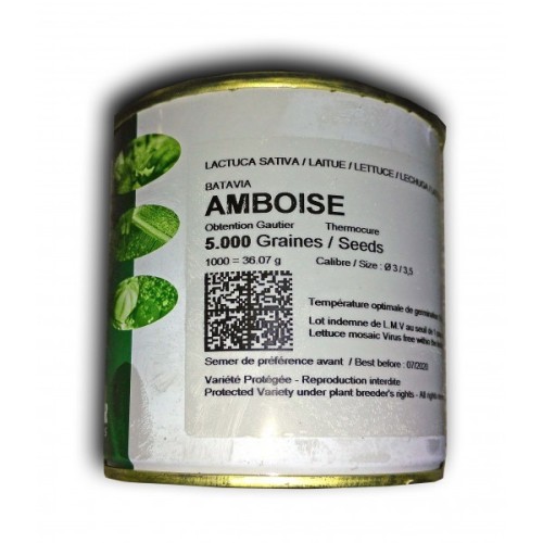 ΜΑΡΟΥΛΙ ΚΟΚΚΙΝ.ΜΑΚΕΔΟΝ.AMBOISE 5000σπορ.