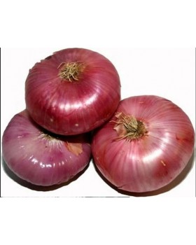 ΚΡΕΜΜΥΔΙ MORANDA HAZERA