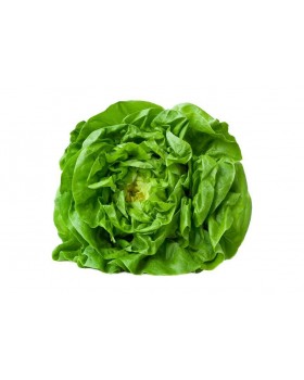 ΜΑΡΟΥΛΙ ΓΑΛΛΙΚΗ OFELIA 5000σπορ.