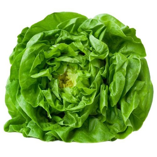 ΜΑΡΟΥΛΙ ΓΑΛΛΙΚΗ OFELIA 5000σπορ.