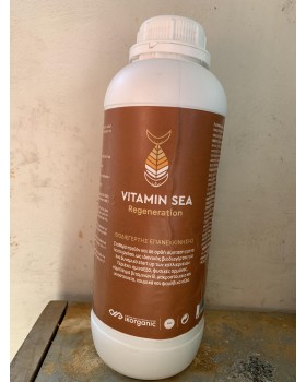 VITAMIN SEA REGENERATION