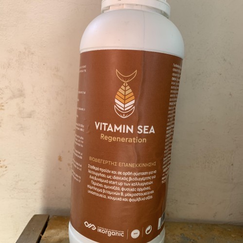 VITAMIN SEA REGENERATION