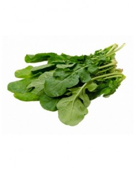 ΡΟΚΑ RUKOLACOLTIVATA