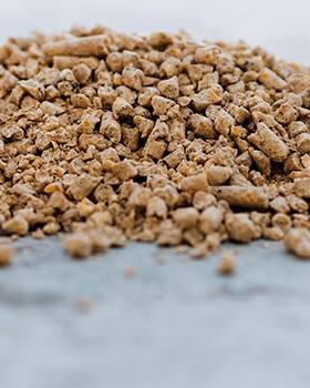 ΤΡΑΧΑΝΑΣ ΑΝΑΠΤΥΞΗΣ 