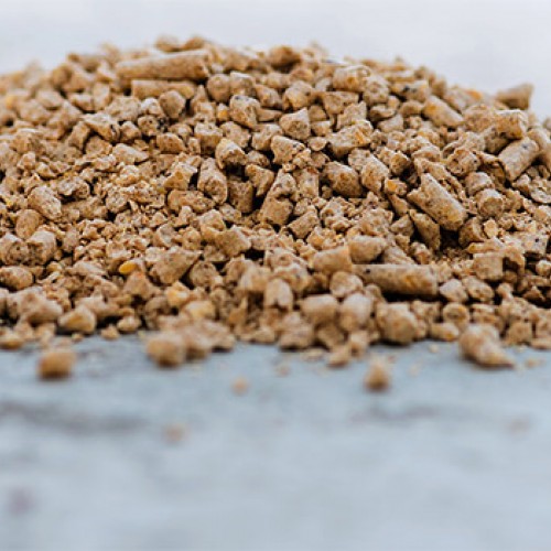 ΤΡΑΧΑΝΑΣ ΑΝΑΠΤΥΞΗΣ 