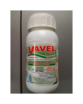 VAVEL