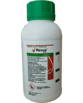 REVUS-TOP
